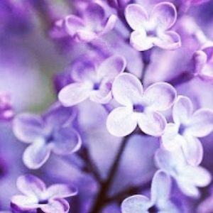 Meet your Posher, Cara